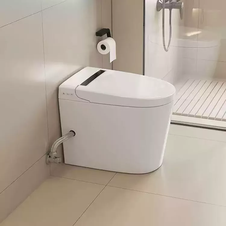 ခေတ်မီ Minimalist Smart Toilet