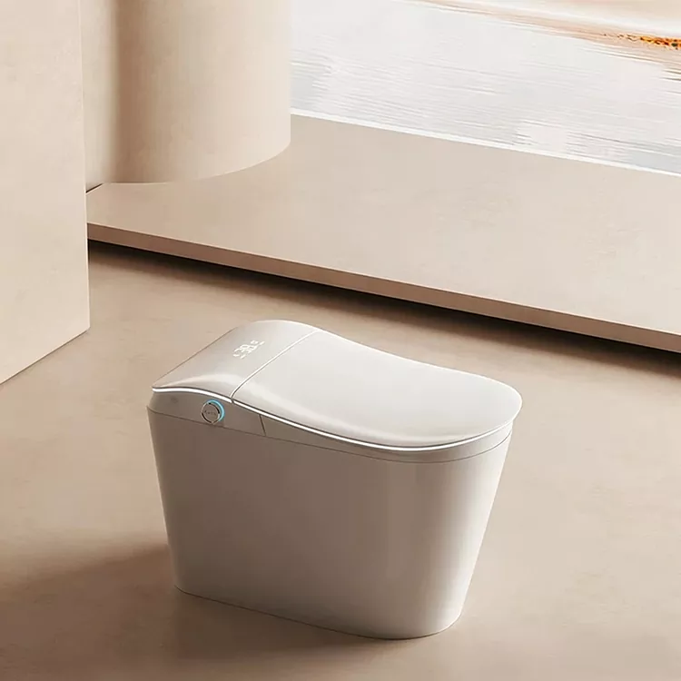 Built-In Water Filter နှင့် Foot-activated Flushing ပါရှိသည့် Smart Toilet